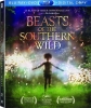 Beasts-of-the-Southern-Wild{}